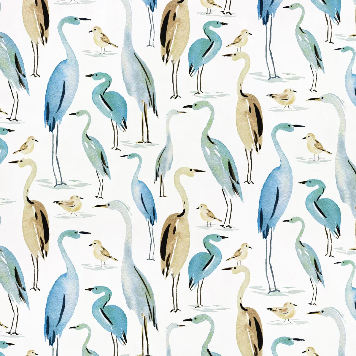 Costal Bird Pattern Minky- White